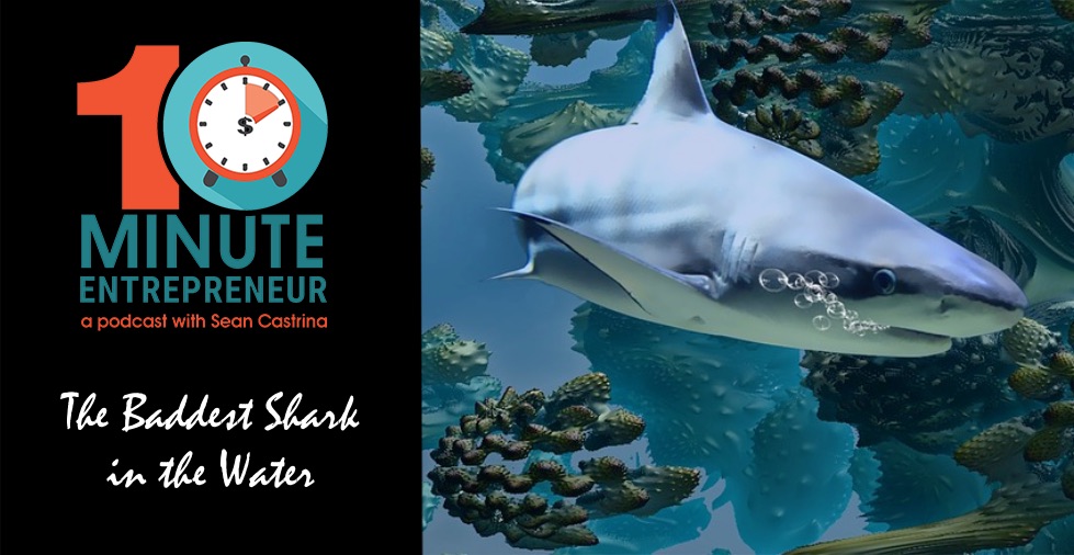 Ep. 411: Be the Baddest Shark In the Water